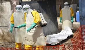 Three new Ebola cases confirmed in DRCongo