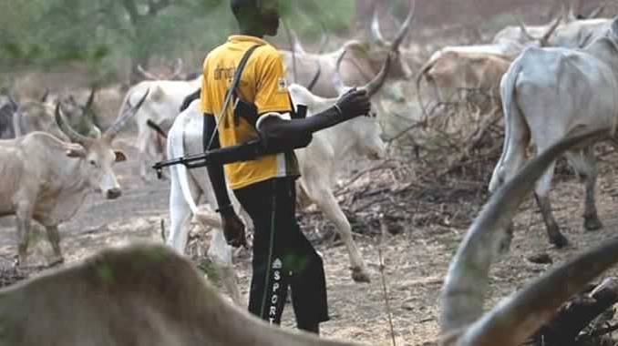 Herdsmen attack: 35 schools shut down in Nasarawa