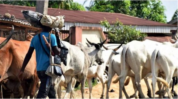 KIDNAPPING: Residents flee Okpanam, demand sack of Fulani herdsmen