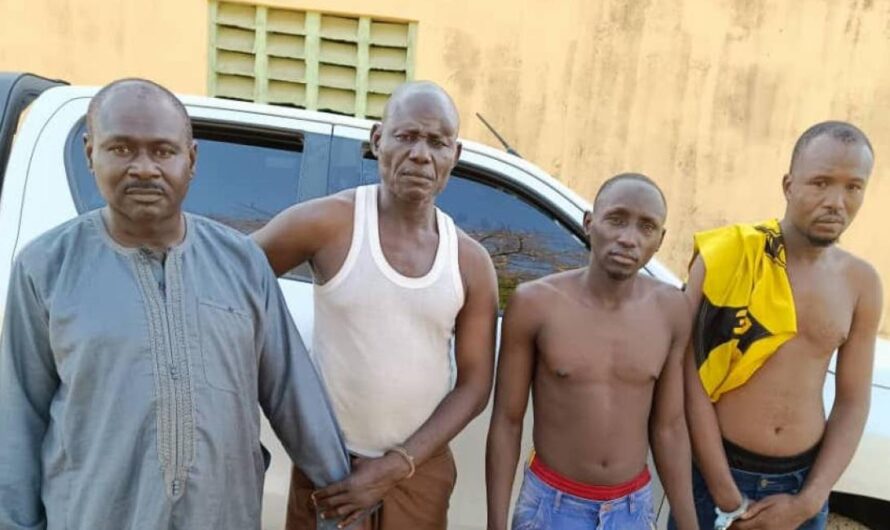 The Nigerian Police Apprehend Two Cameroonians Among Notorious Gang Involved in Robbery of Adamawa State Commissioner
